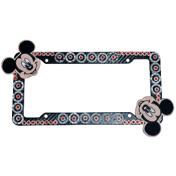 License Plate with Mickey Mouse on the outer edge of the plate